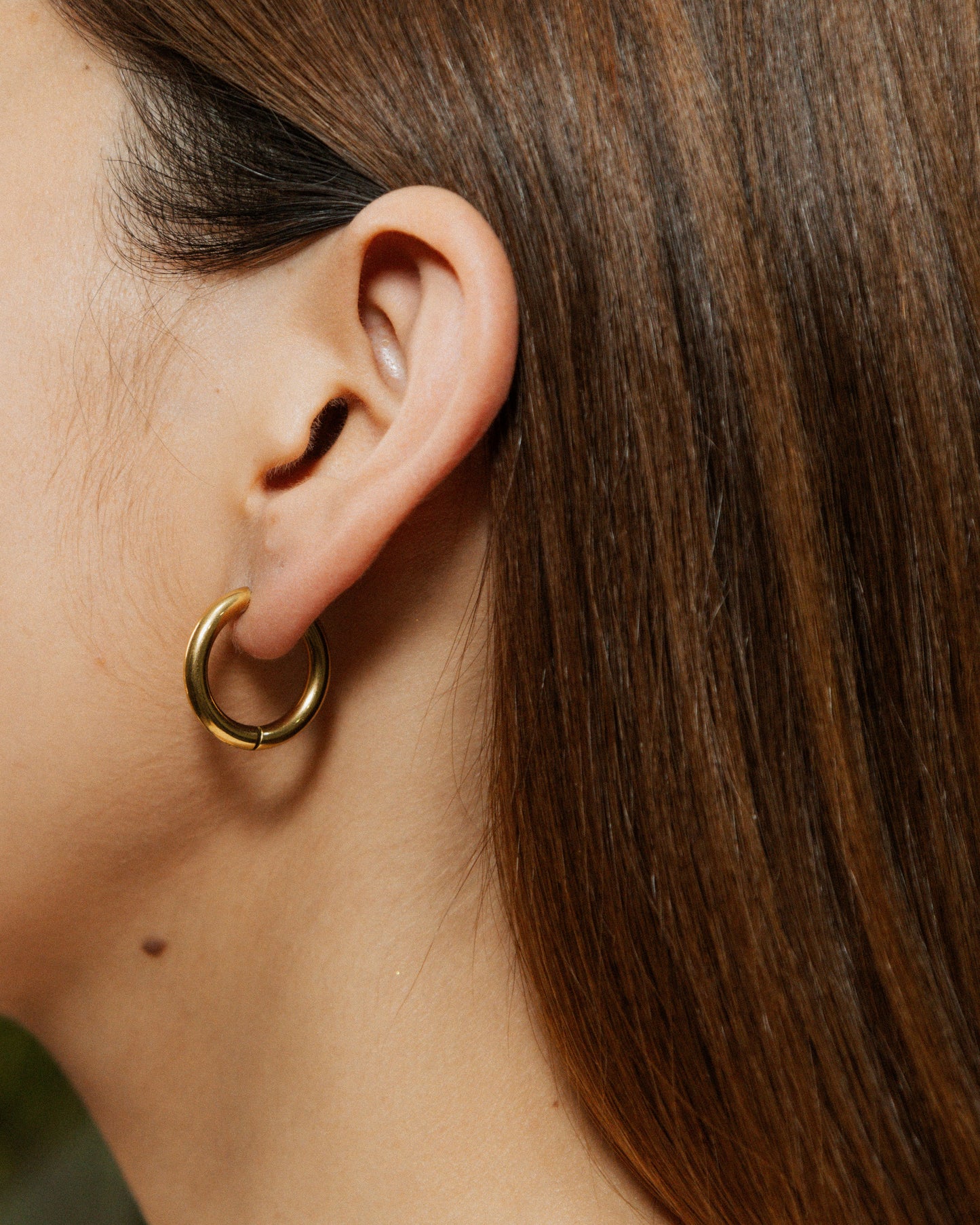 Aretes Zelia
